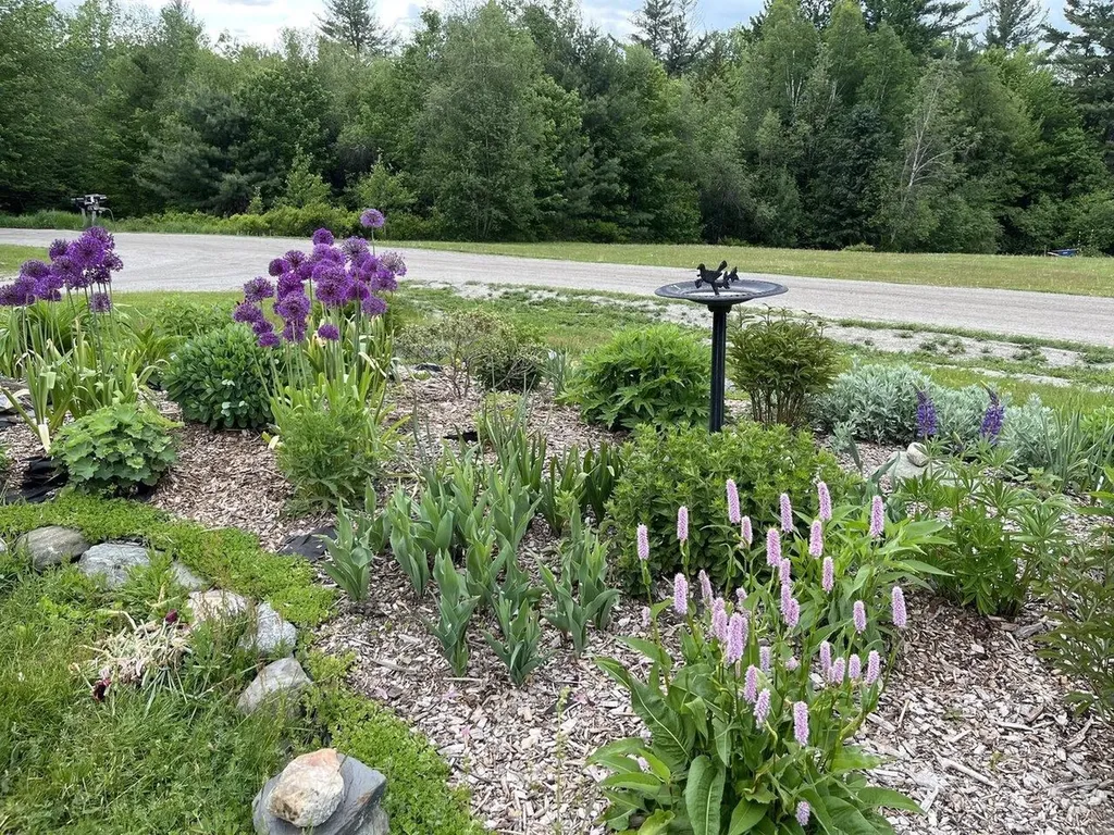 133 Frazier Road Worcester VT 05682