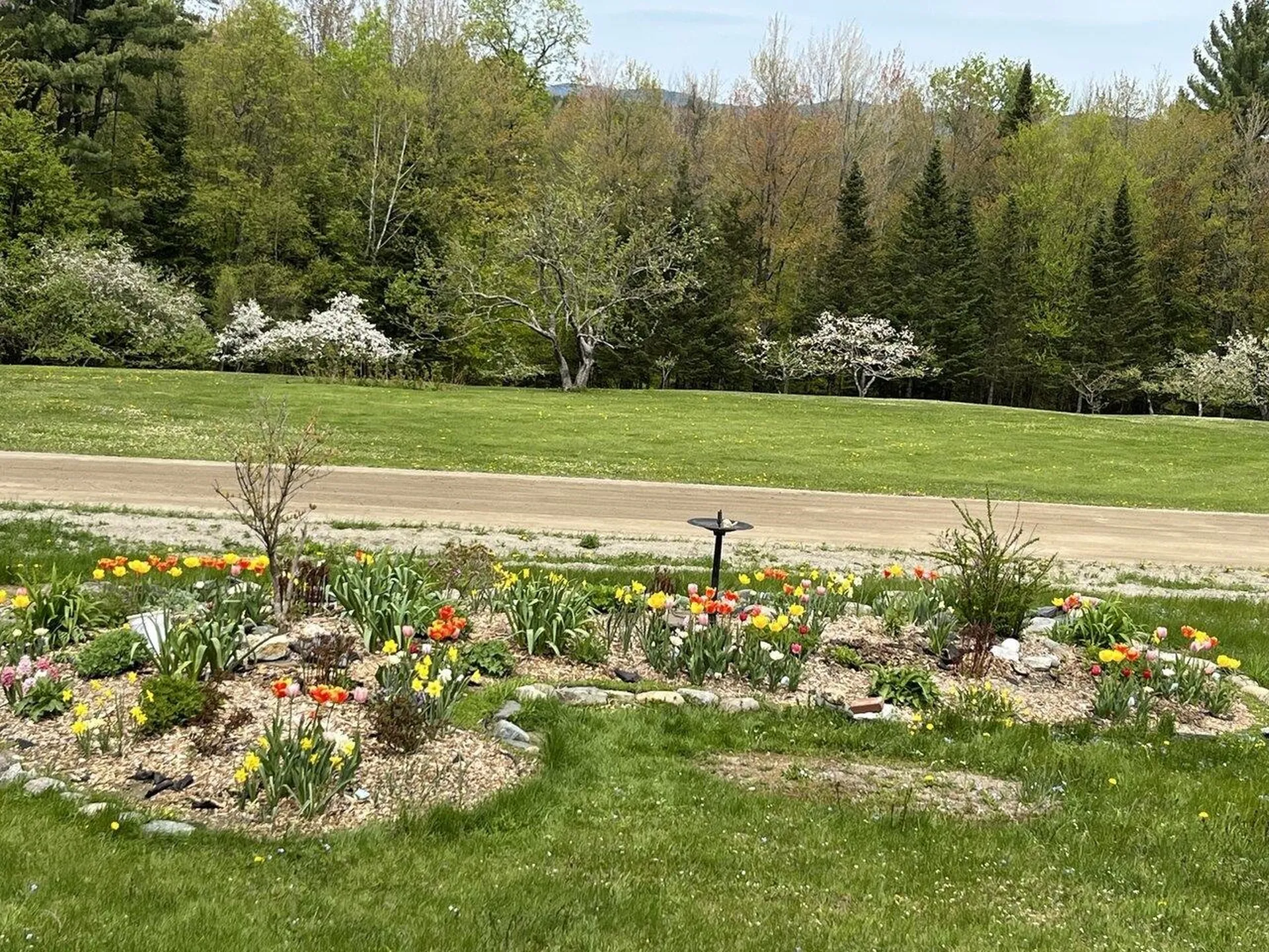 133 Frazier Road Worcester VT 05682