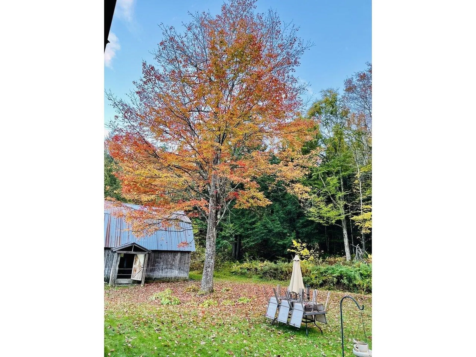 133 Frazier Road Worcester VT 05682