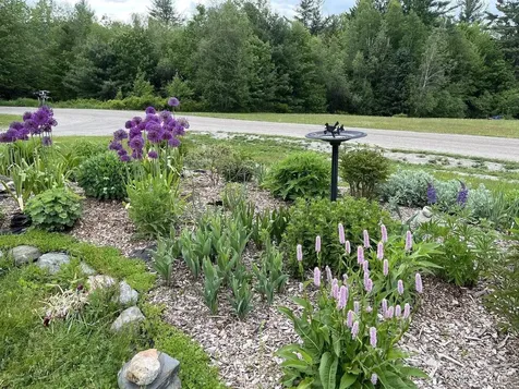 133 Frazier Road Worcester VT 05682