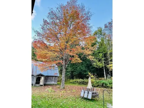 133 Frazier Road Worcester VT 05682
