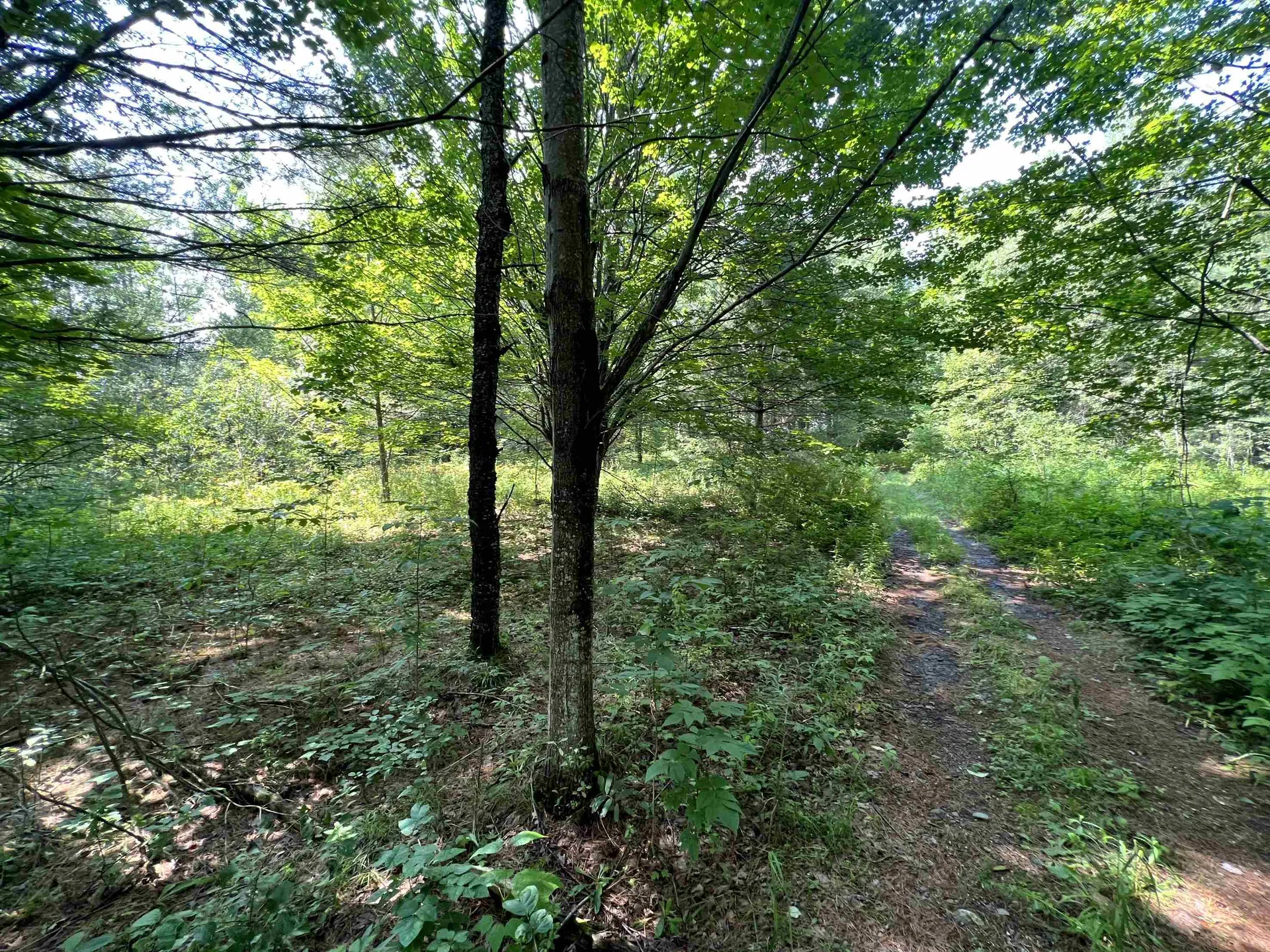 0 Belle Vista Road Jay VT 05859