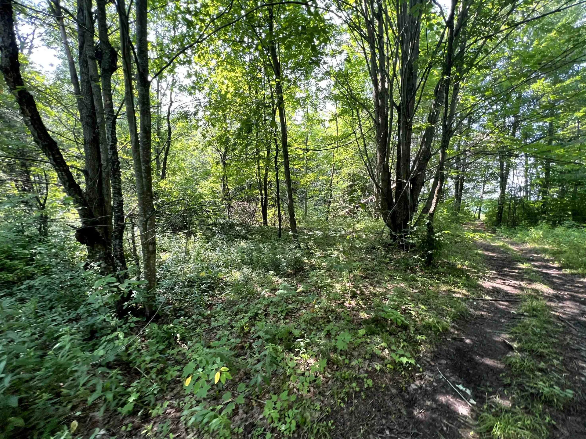 0 Belle Vista Road Jay VT 05859