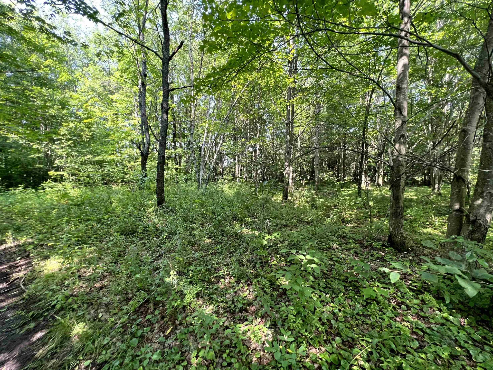 0 Belle Vista Road Jay VT 05859