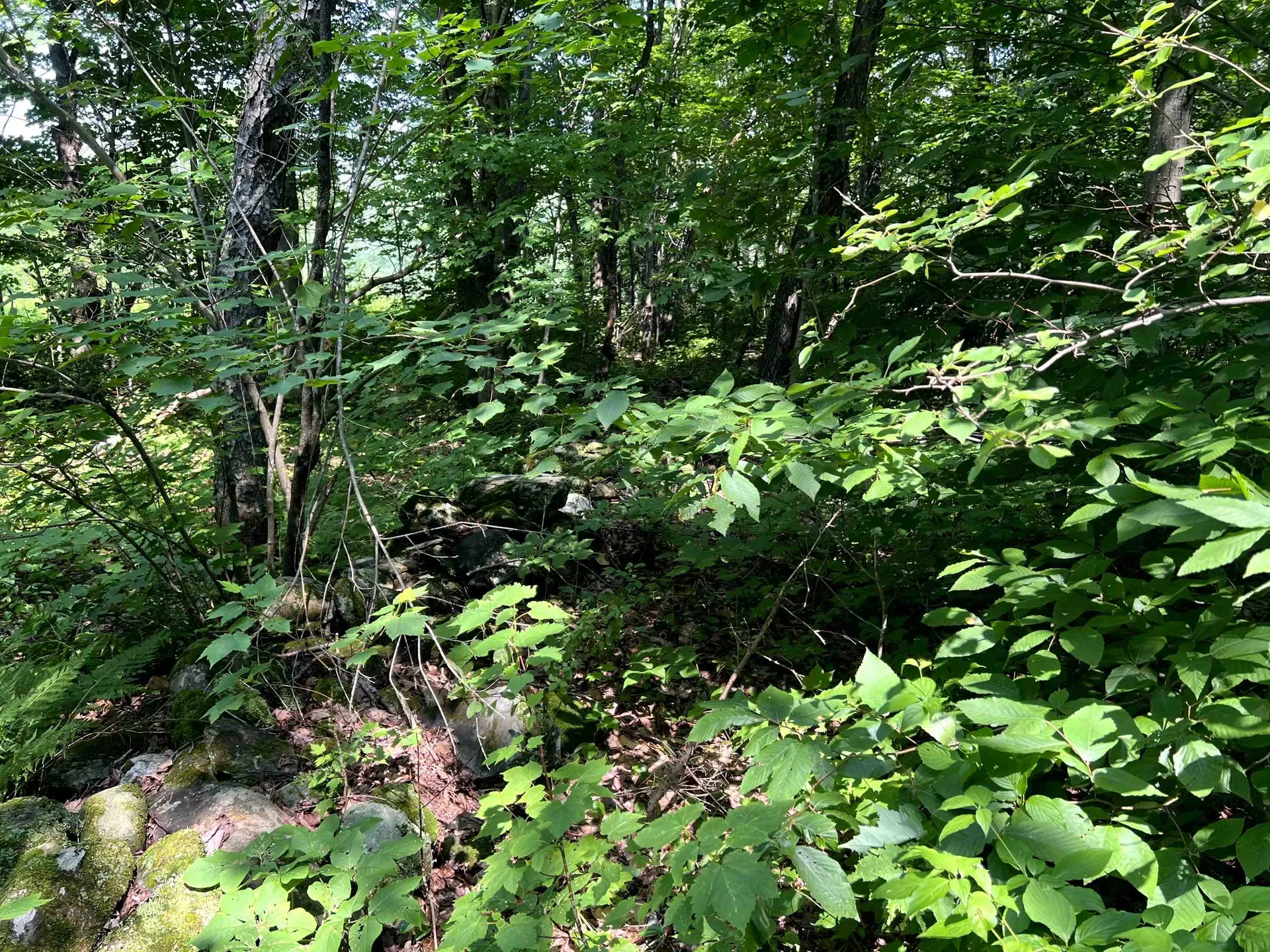 0 Belle Vista Road Jay VT 05859