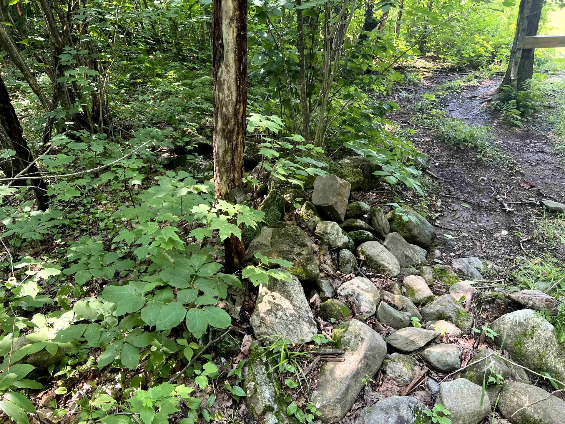 0 Belle Vista Road Jay VT 05859