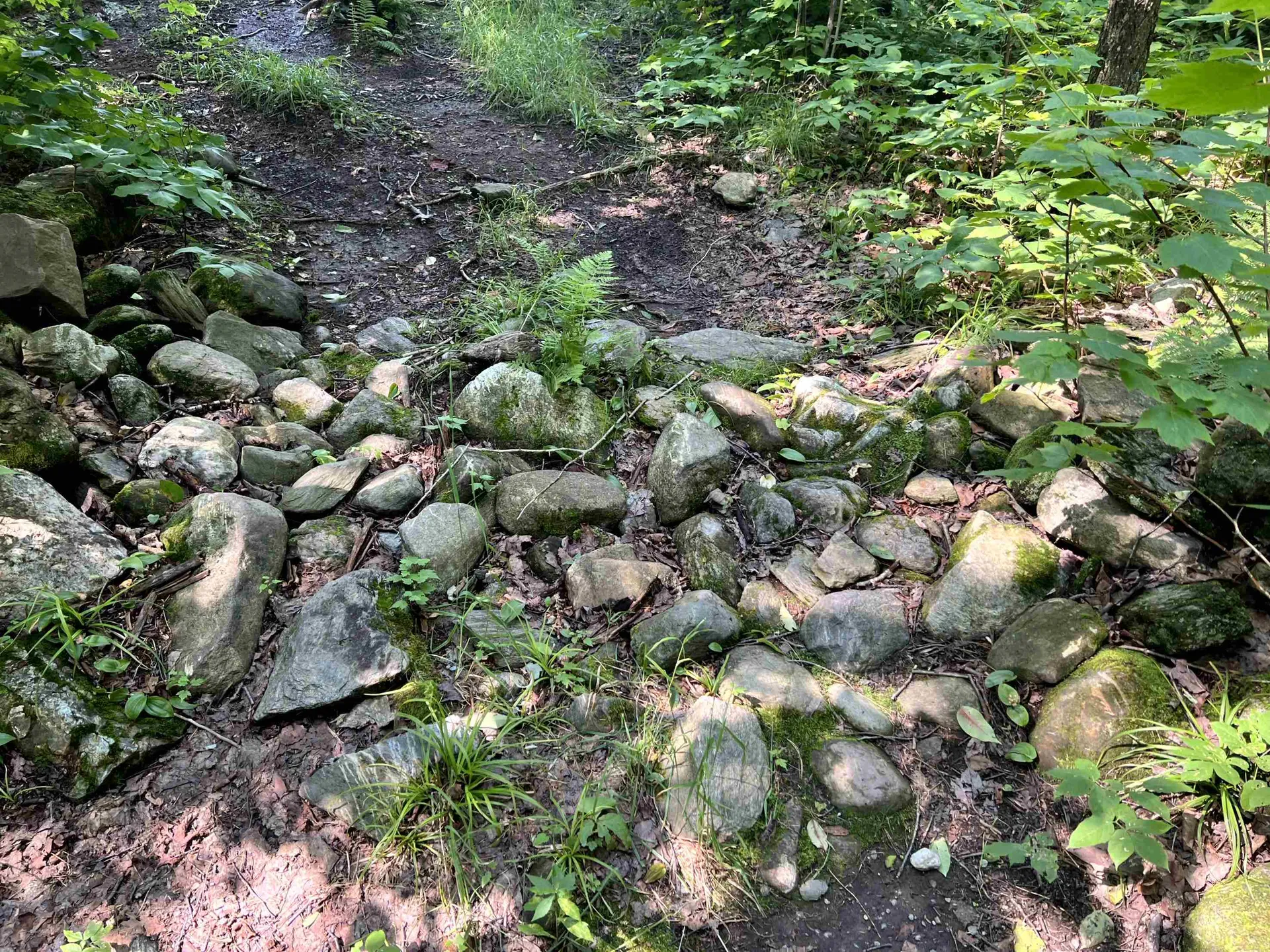 0 Belle Vista Road Jay VT 05859