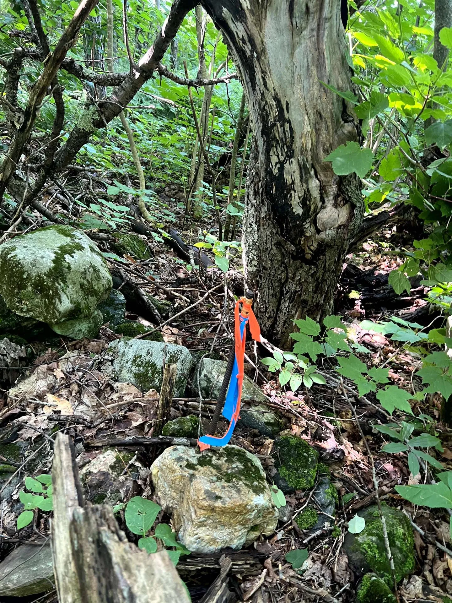 0 Belle Vista Road Jay VT 05859