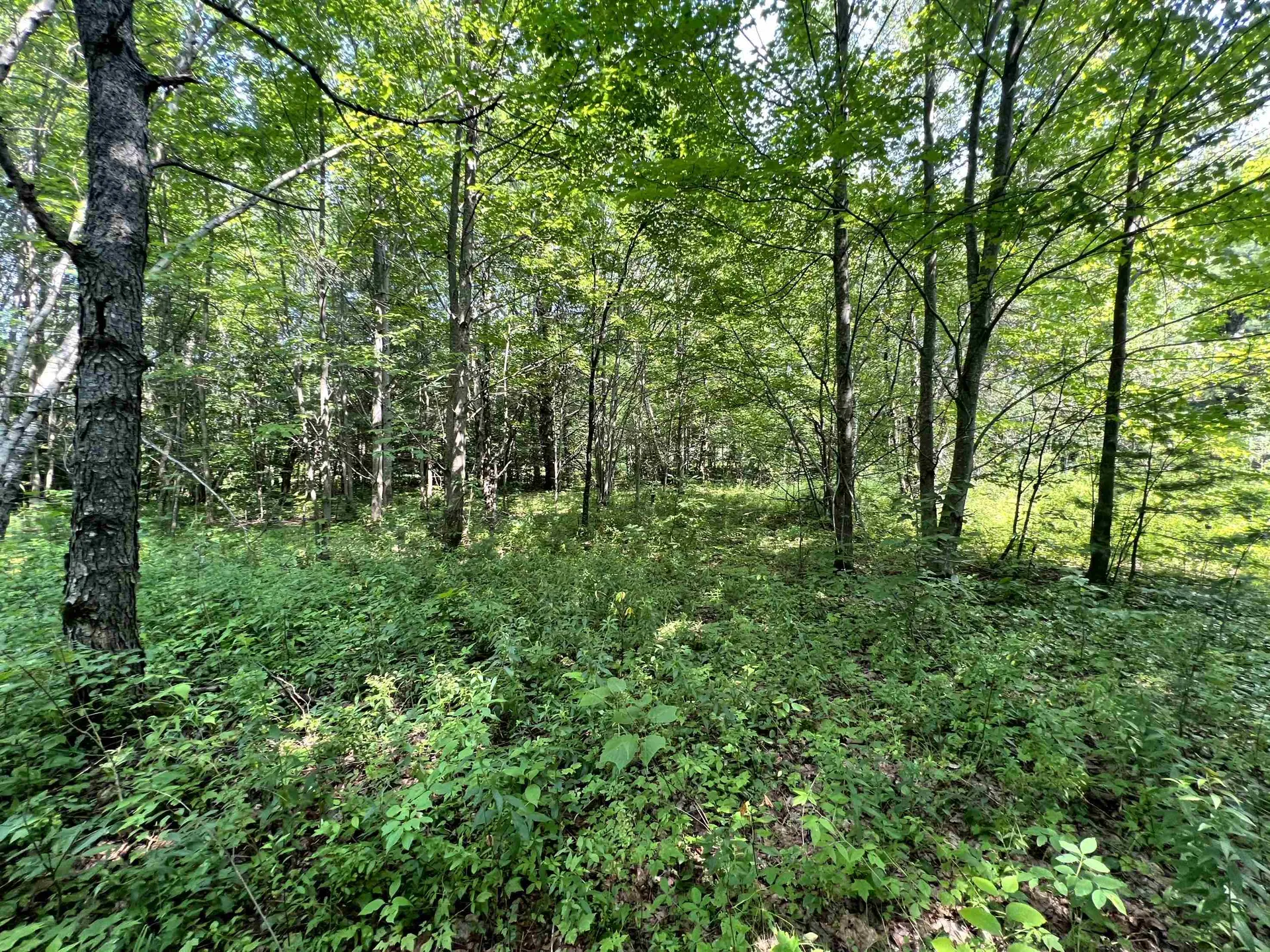 0 Belle Vista Road Jay VT 05859