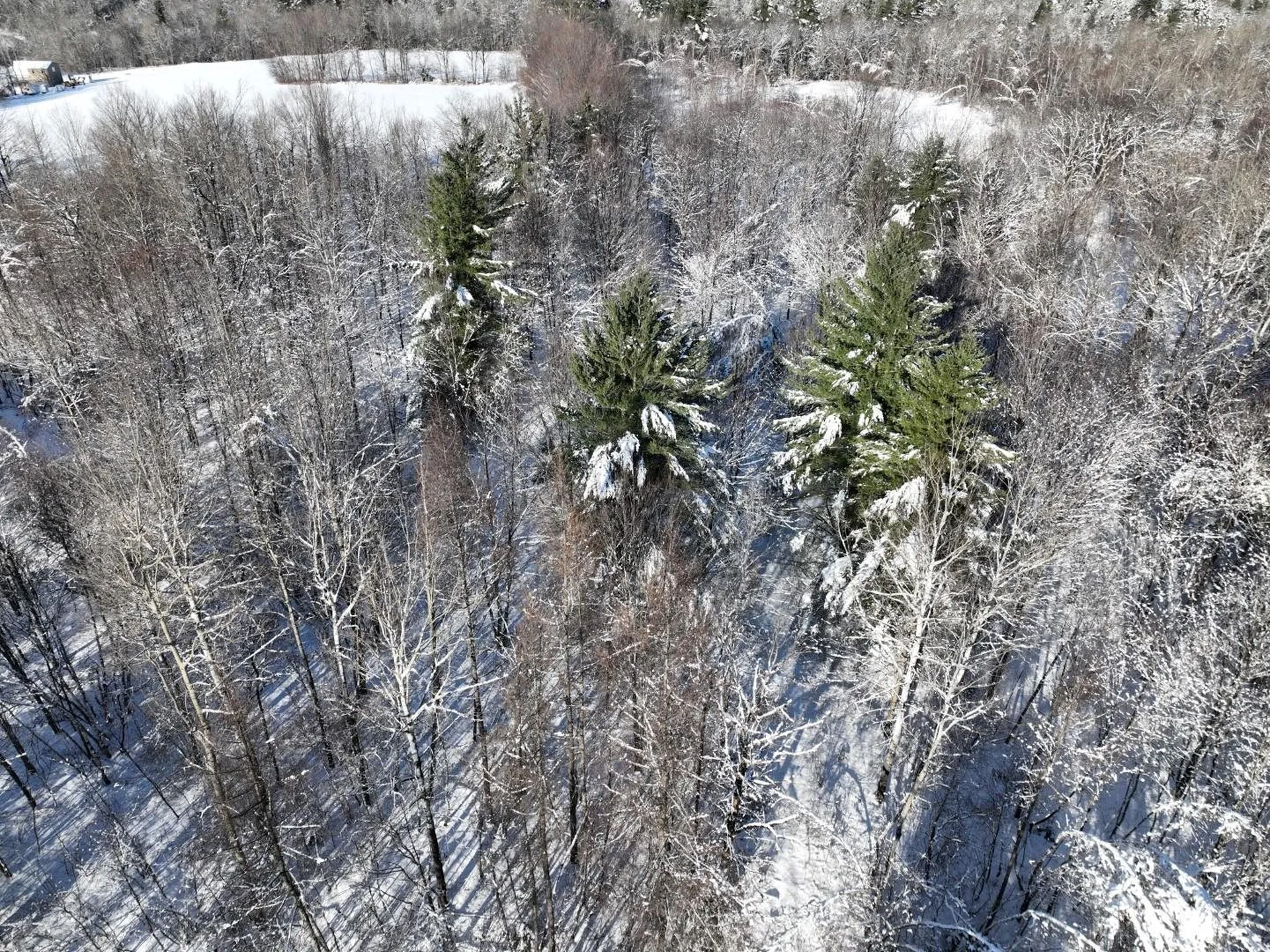 0 Belle Vista Road Jay VT 05859