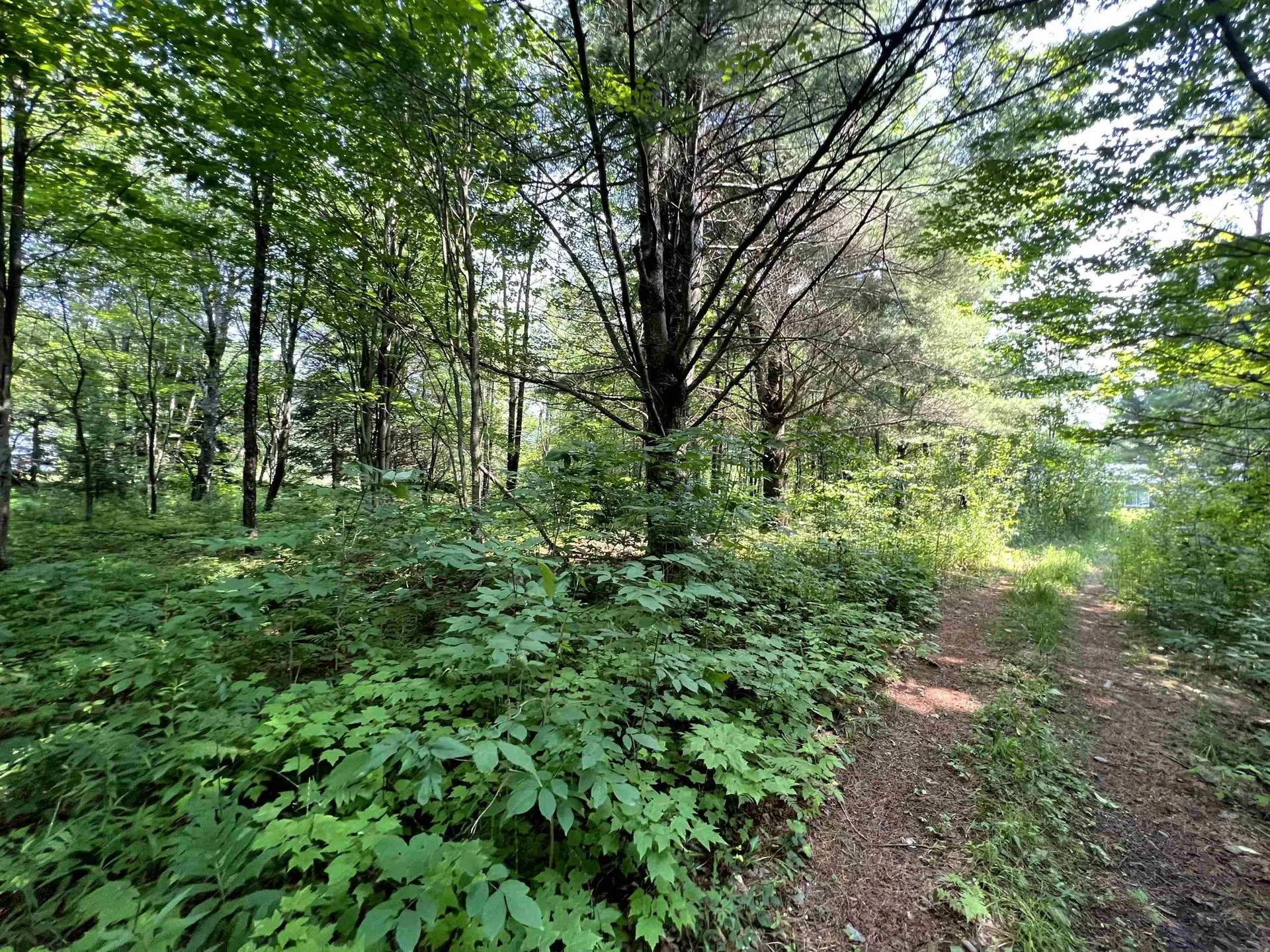 0 Belle Vista Road Jay VT 05859