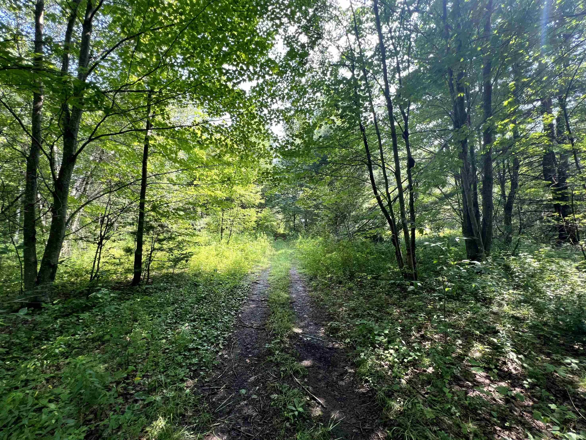 0 Belle Vista Road Jay VT 05859