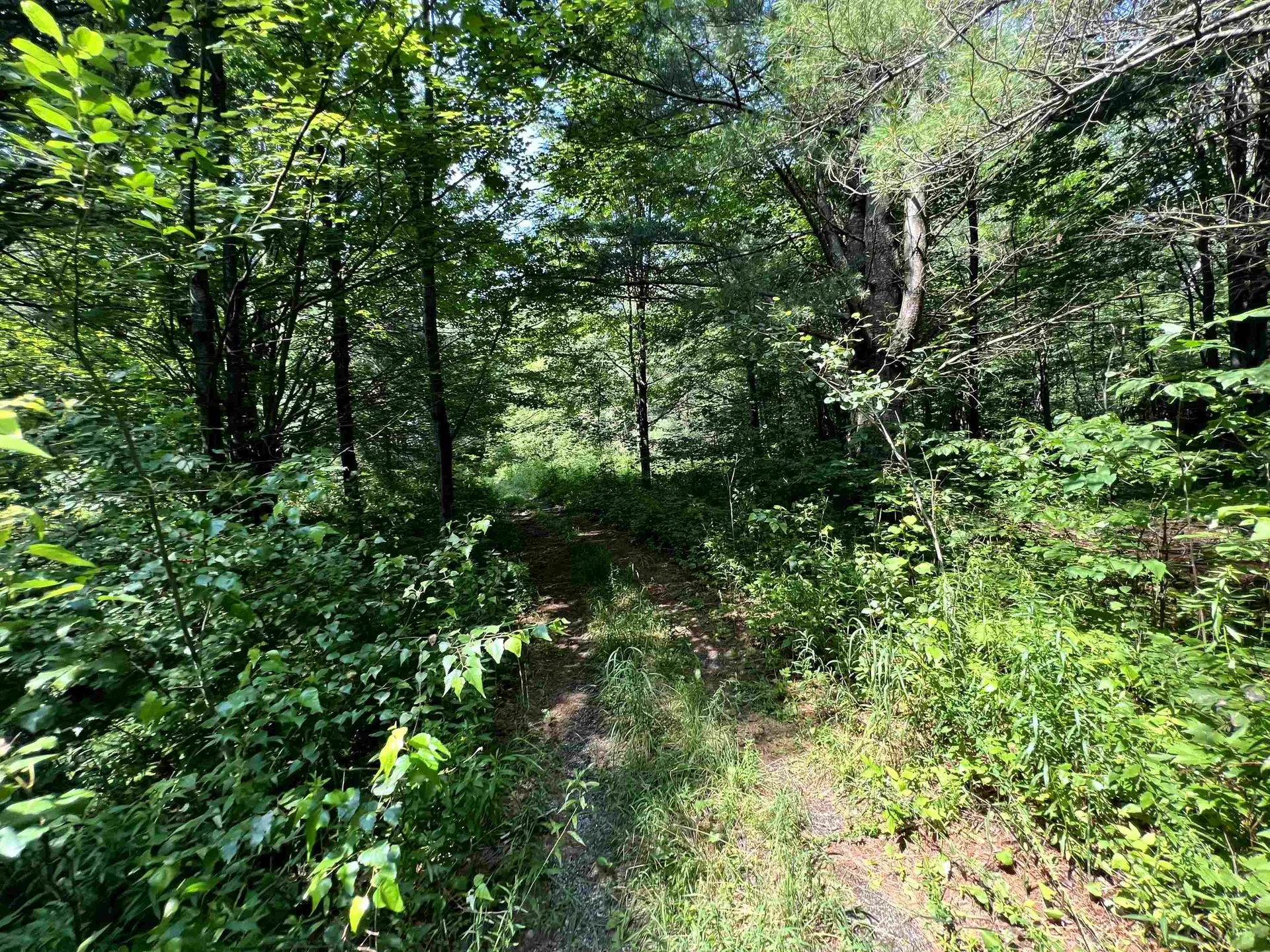 0 Belle Vista Road Jay VT 05859