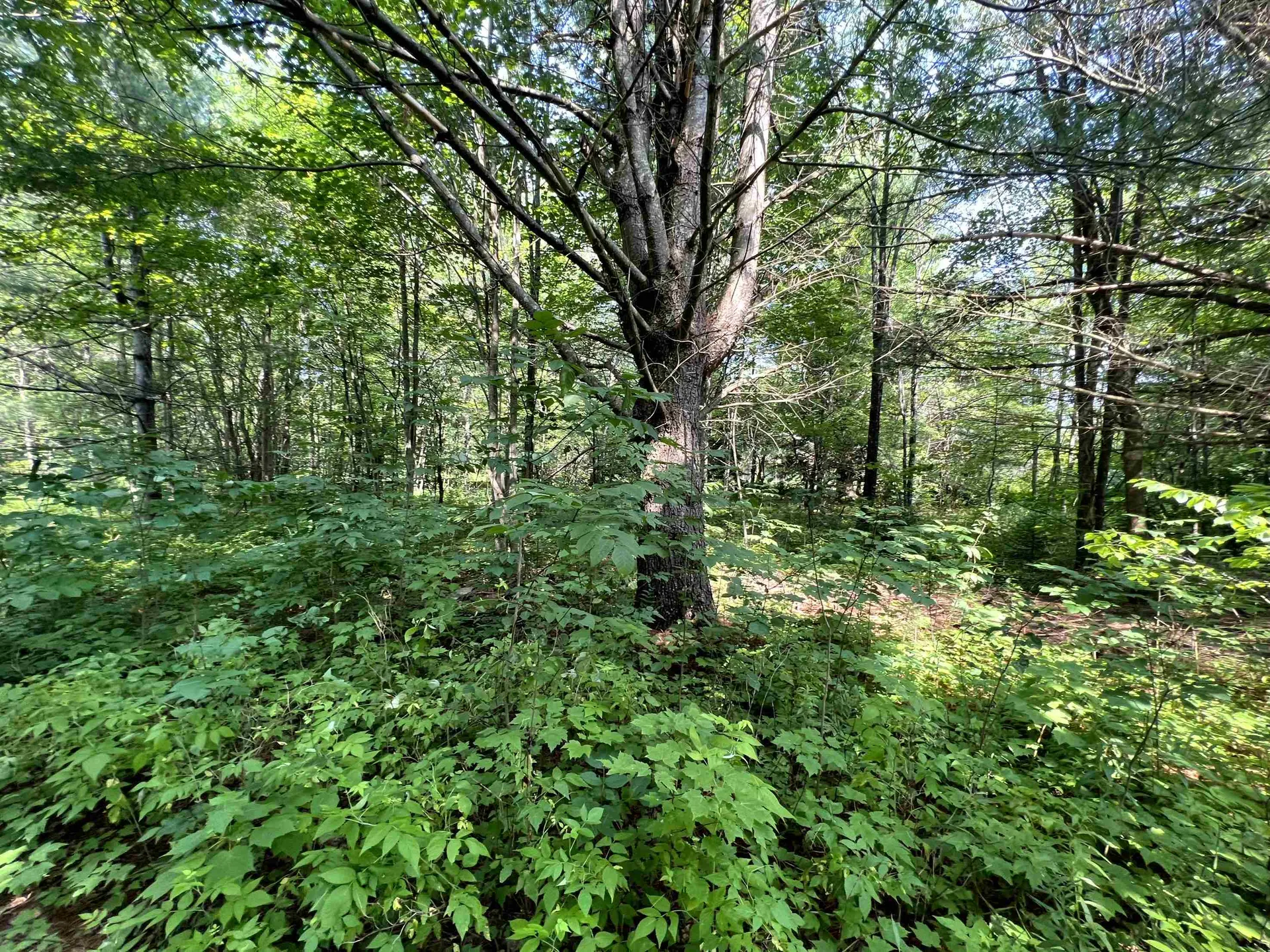 0 Belle Vista Road Jay VT 05859