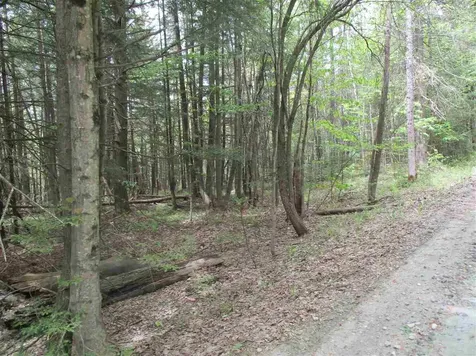0 Bettis Road Randolph VT 05060