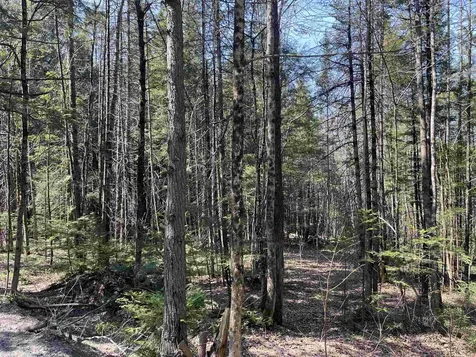 0 Bettis Road Randolph VT 05060