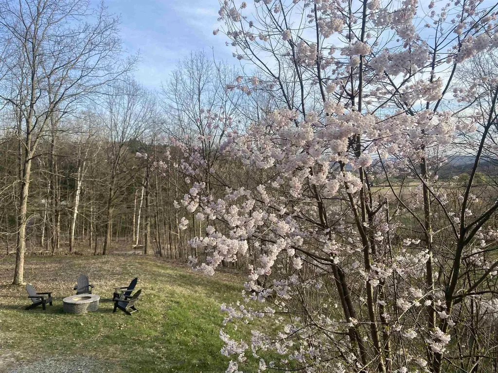 296 Tinkham Road Shaftsbury VT 05262