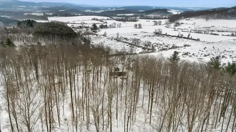 296 Tinkham Road Shaftsbury VT 05262