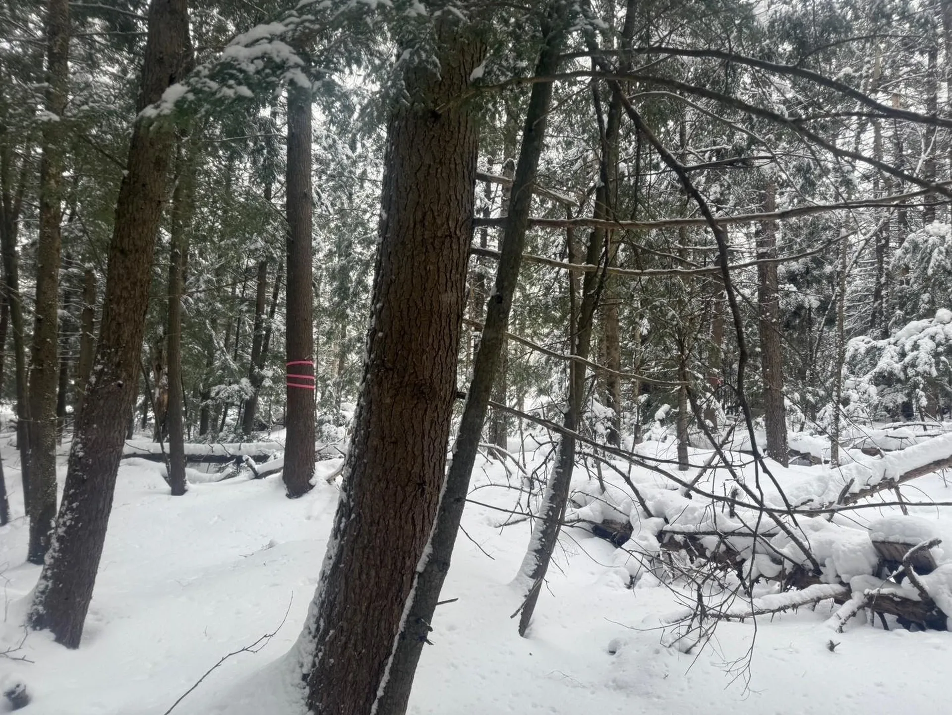 932 Mud City Loop Morristown VT 05661