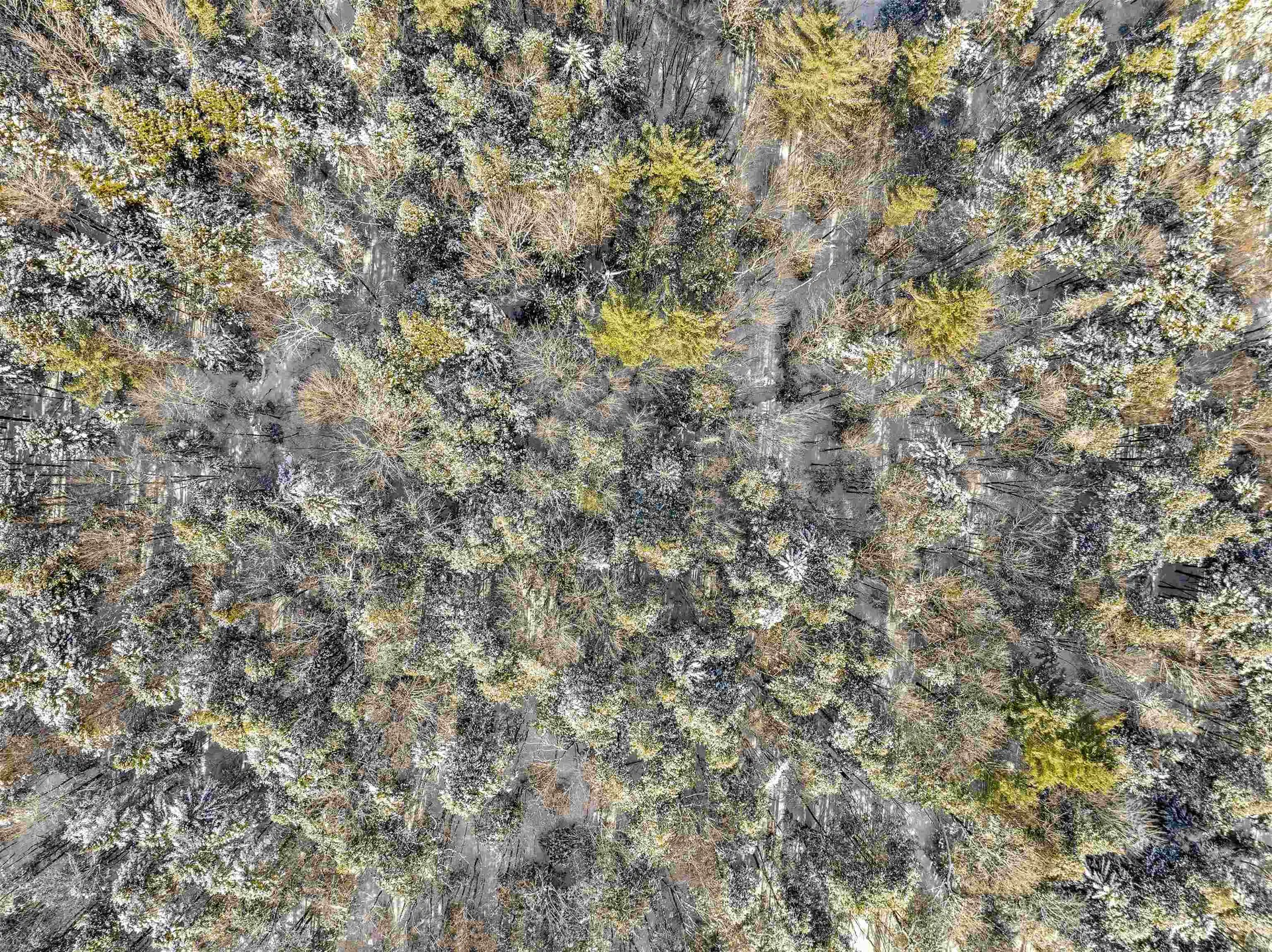 932 Mud City Loop Morristown VT 05661