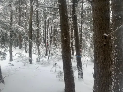 932 Mud City Loop Morristown VT 05661