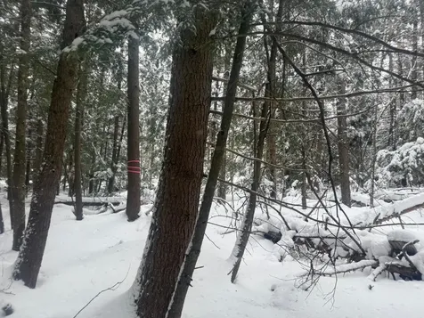 932 Mud City Loop Morristown VT 05661