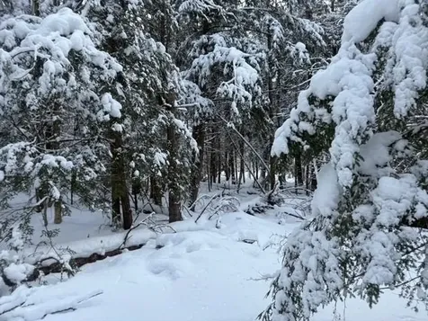 932 Mud City Loop Morristown VT 05661