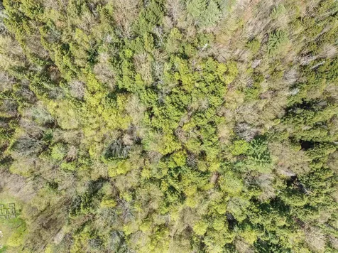 932 Mud City Loop Morristown VT 05661