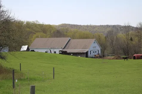536 Sugar House Road Williamstown VT 05679