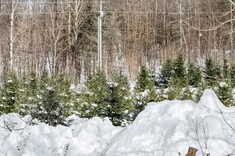 536 Sugar House Road Williamstown VT 05679