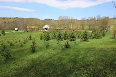 536 Sugar House Road Williamstown VT 05679