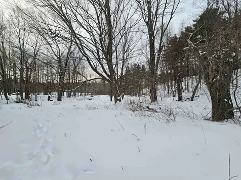 339 South Stream Road Pownal VT 05261