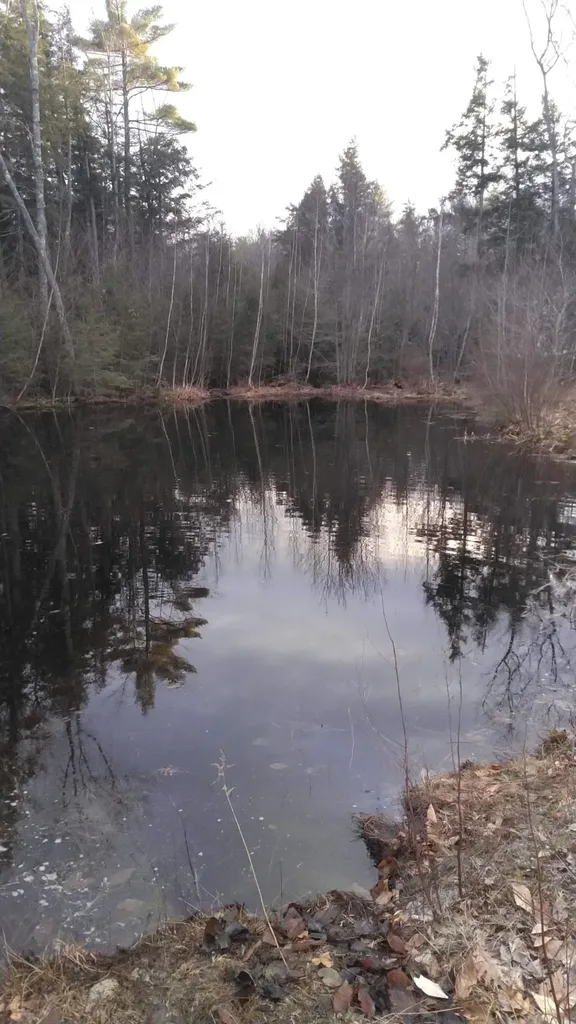 31 Cross Road Milton NH 03851