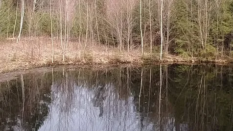 31 Cross Road Milton NH 03851