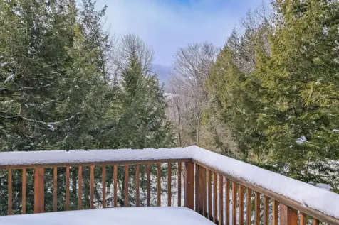 59 Birch Lane Ludlow VT 05149