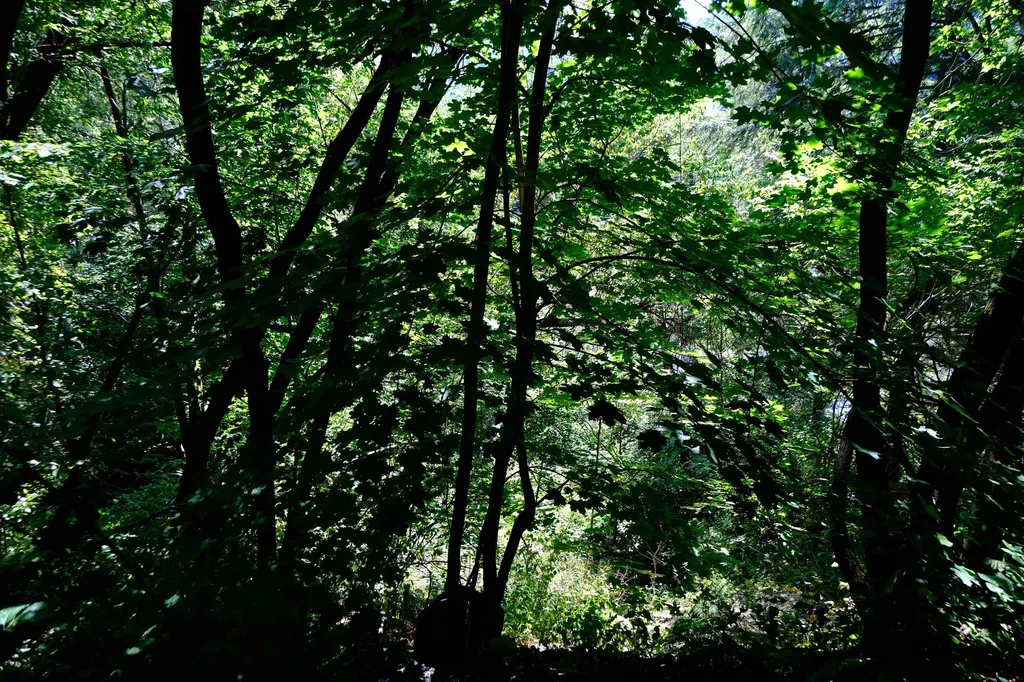 166 Hooker Hill Road St. Johnsbury VT 05819