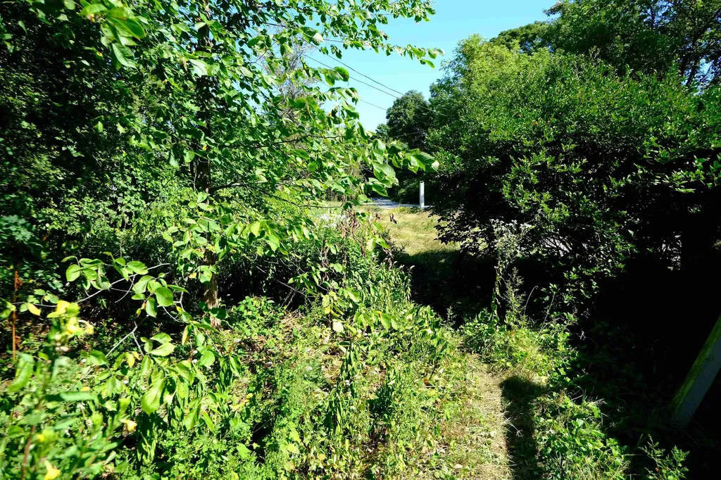 166 Hooker Hill Road St. Johnsbury VT 05819