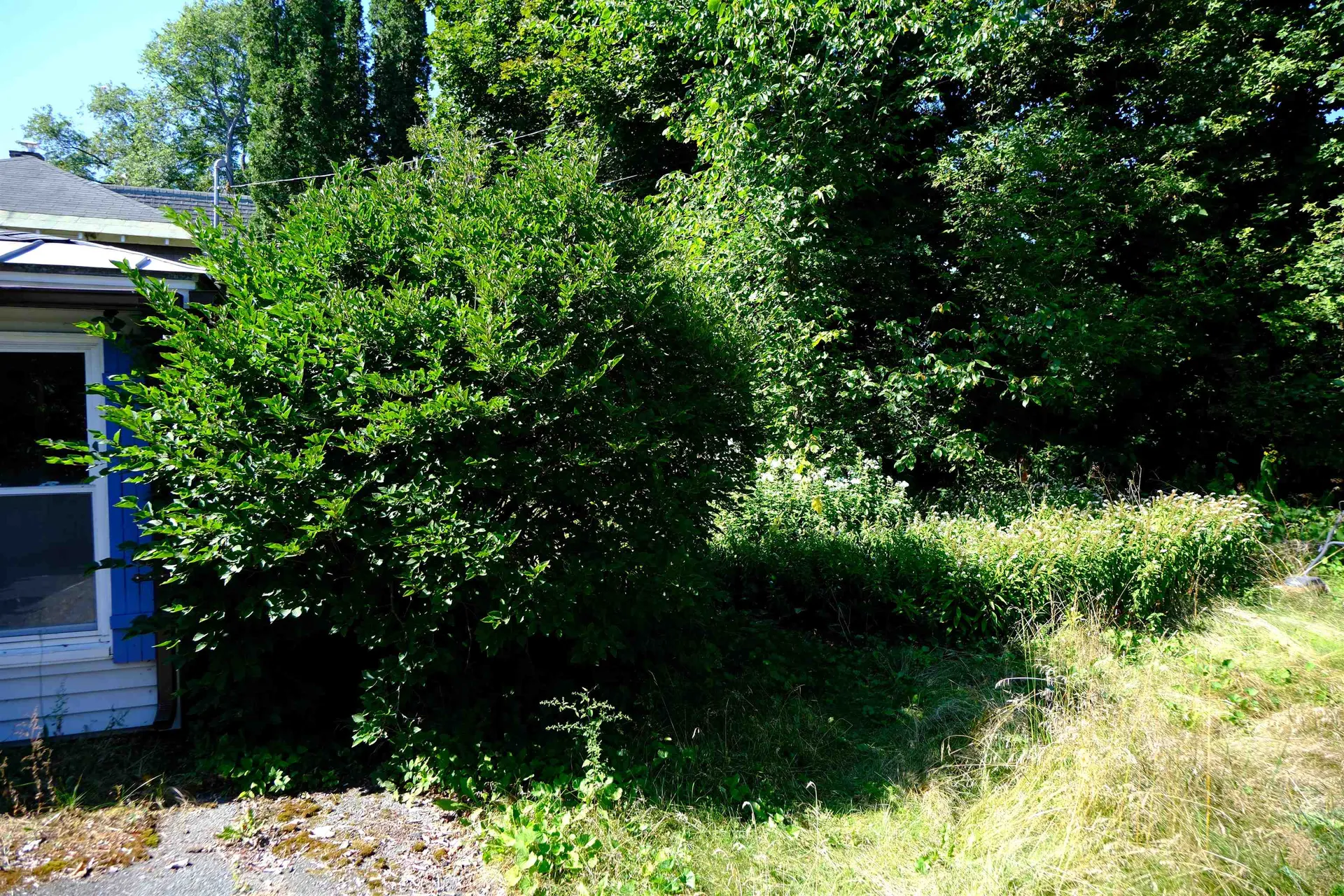 166 Hooker Hill Road St. Johnsbury VT 05819