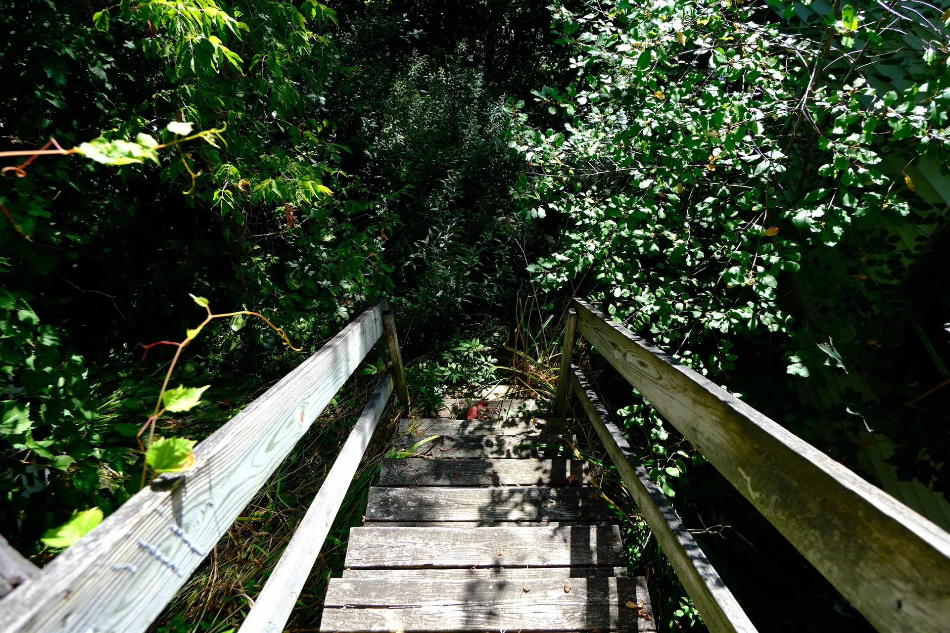 166 Hooker Hill Road St. Johnsbury VT 05819