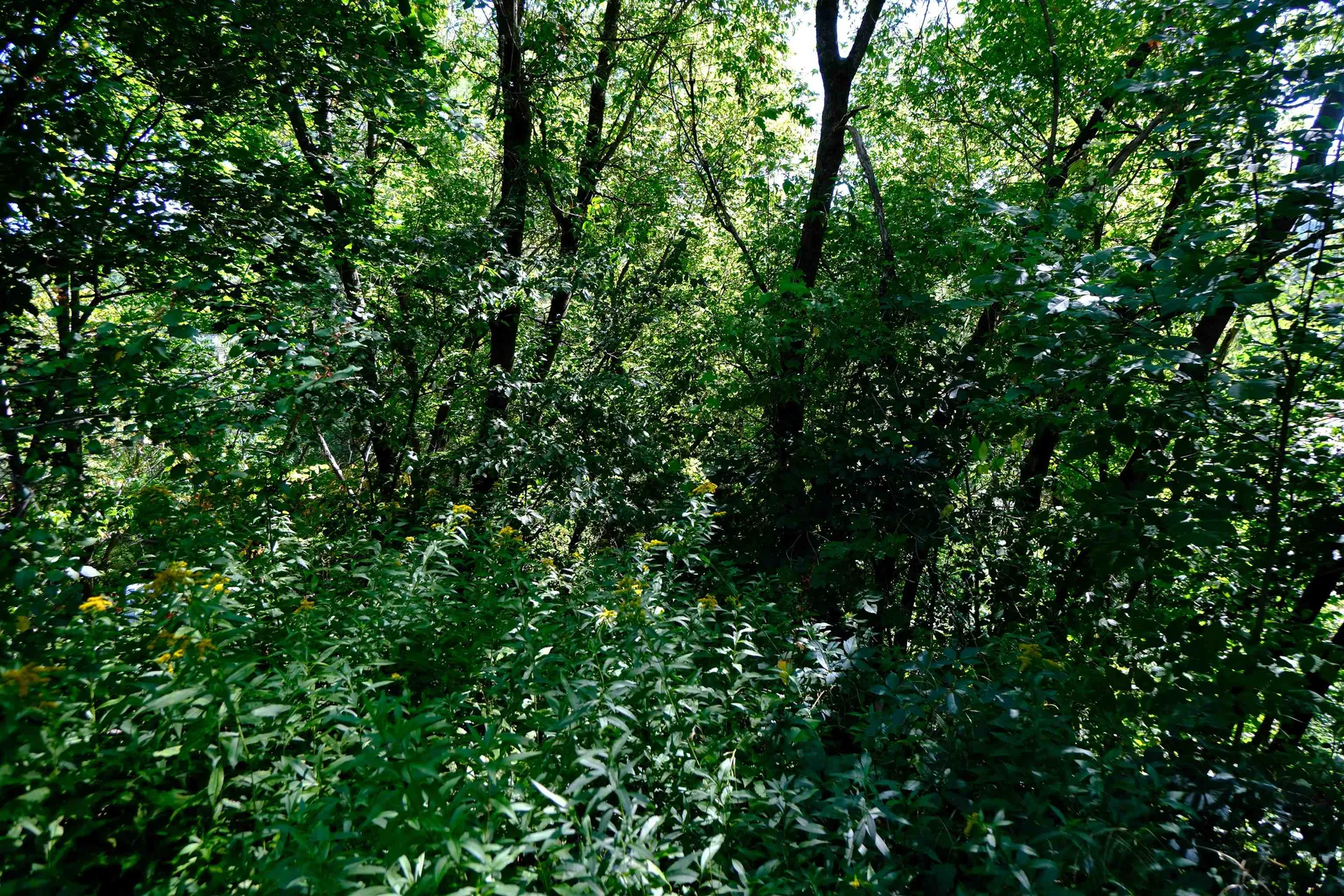 166 Hooker Hill Road St. Johnsbury VT 05819