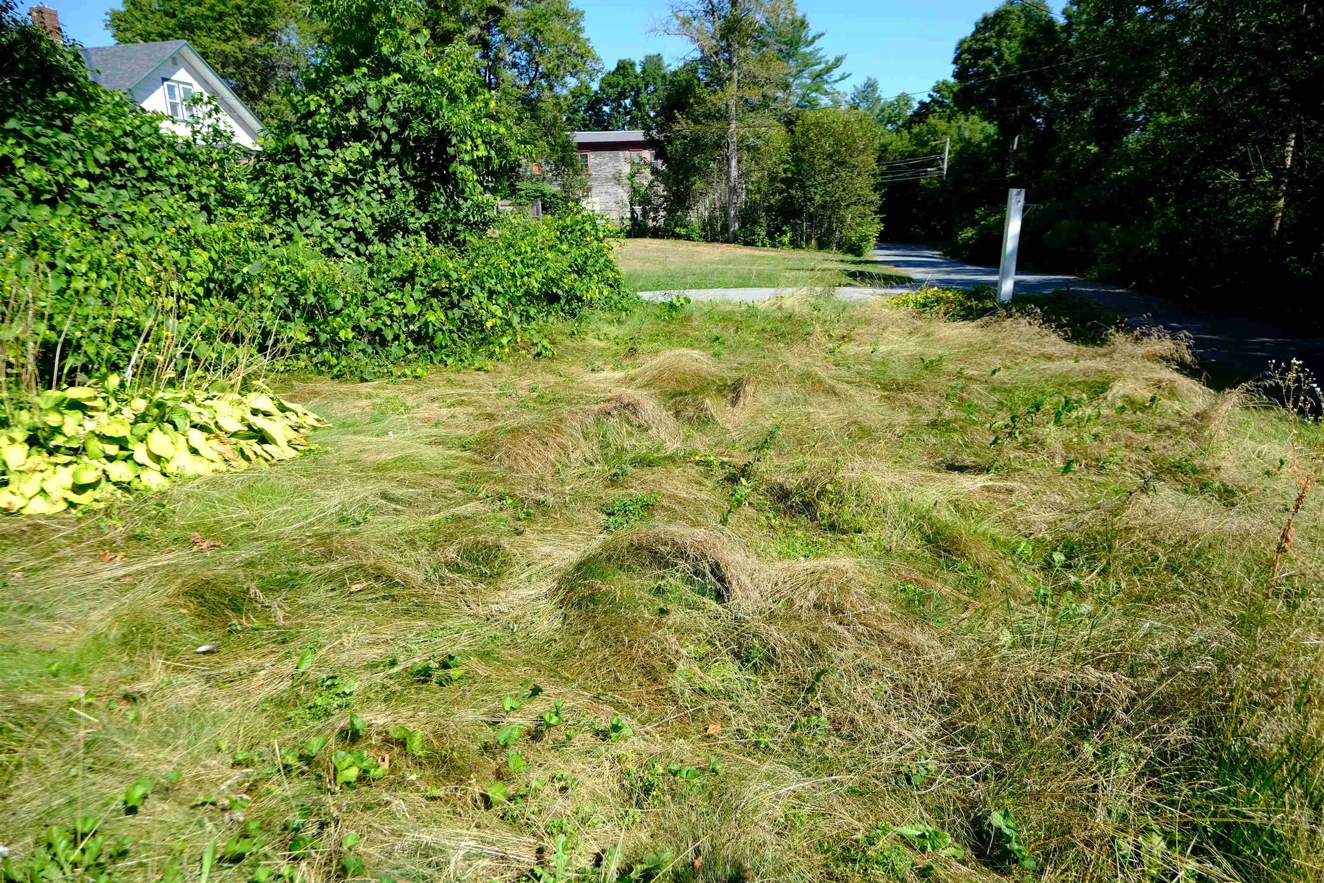 166 Hooker Hill Road St. Johnsbury VT 05819