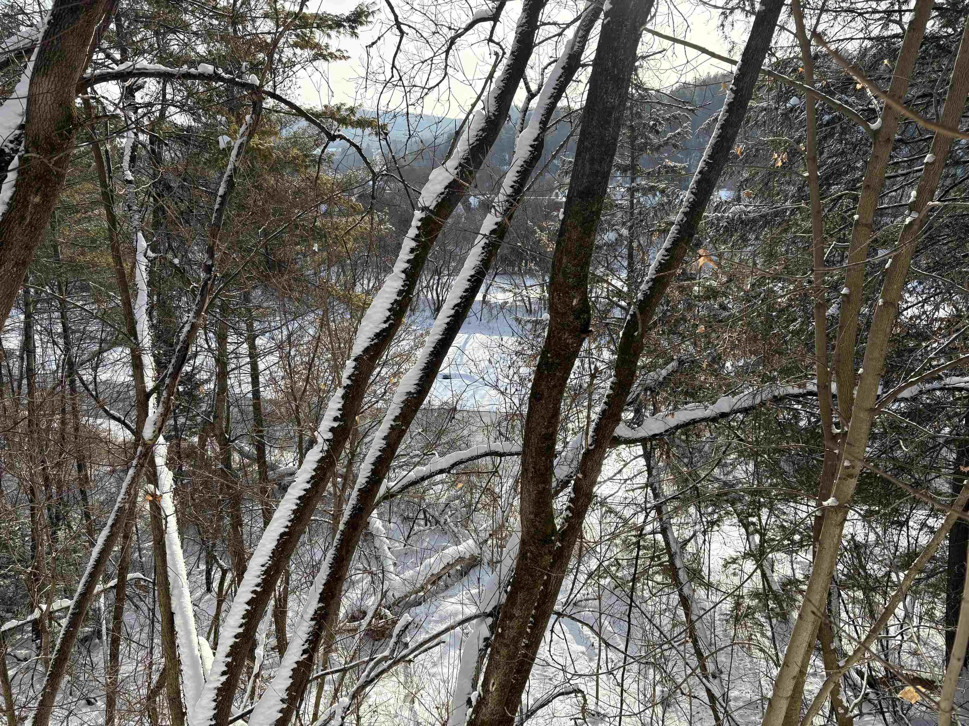 166 Hooker Hill Road St. Johnsbury VT 05819