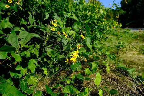 166 Hooker Hill Road St. Johnsbury VT 05819