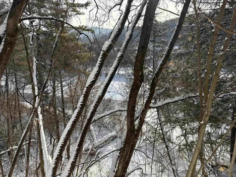 166 Hooker Hill Road St. Johnsbury VT 05819