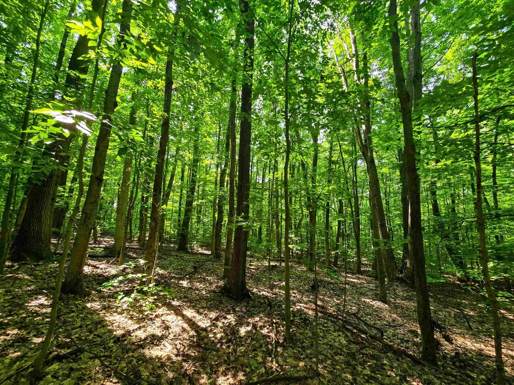 170 Gore Road Bennington VT 05201