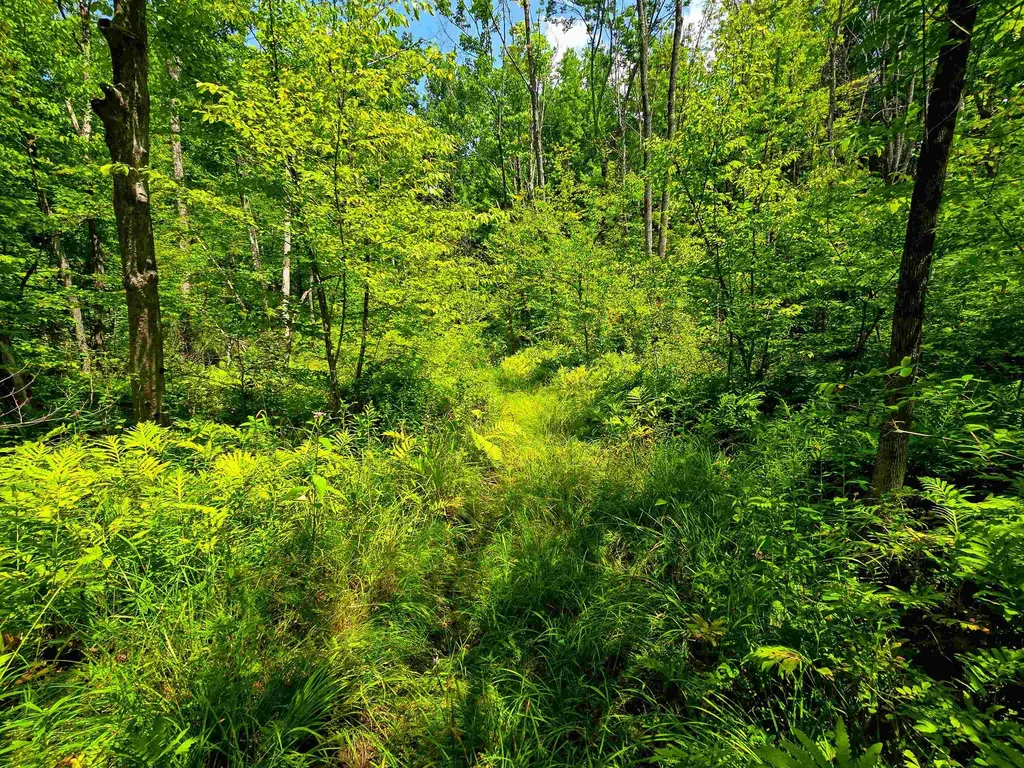 170 Gore Road Bennington VT 05201