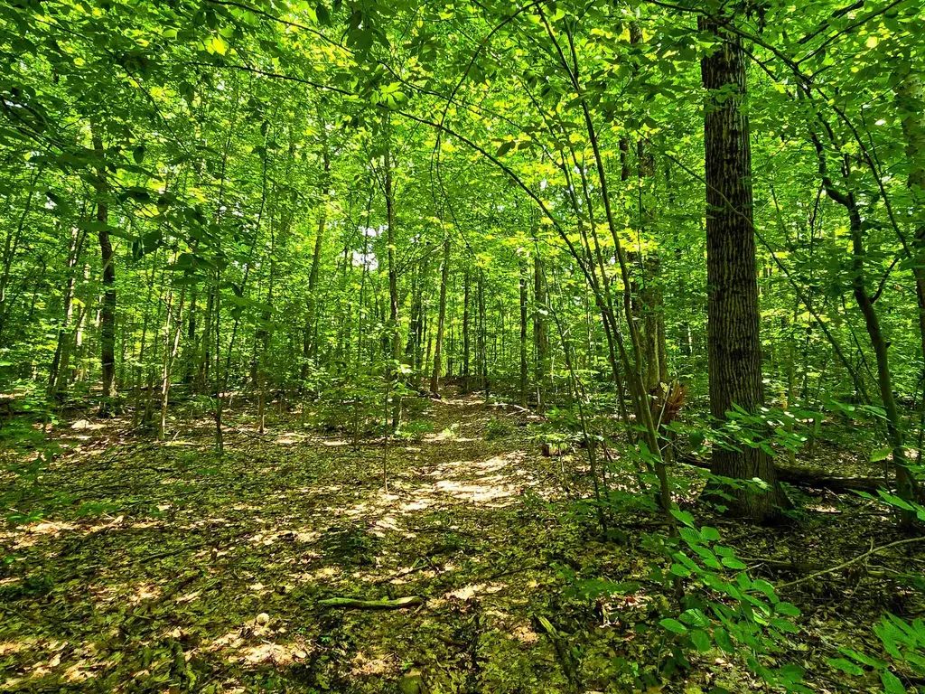 170 Gore Road Bennington VT 05201