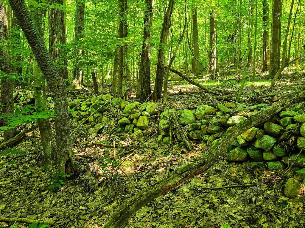 170 Gore Road Bennington VT 05201