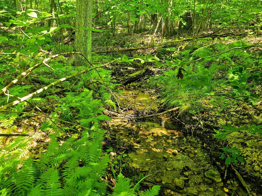 170 Gore Road Bennington VT 05201