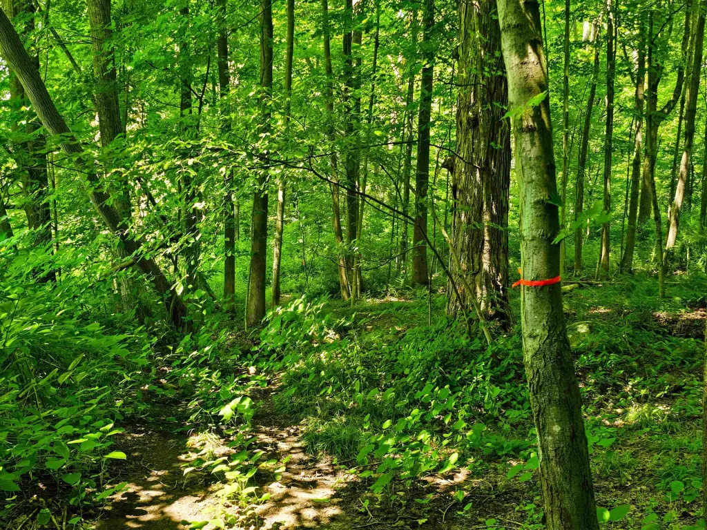 170 Gore Road Bennington VT 05201